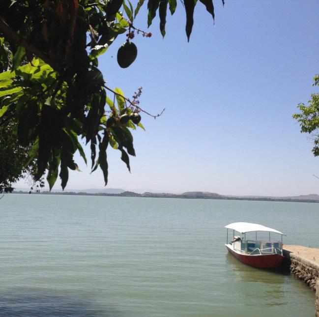 DAG 13 Båttur på Lake Tana Efter frukost åker vi på en båttur på Tanasjön. Sjön är lika stor som Vänern och är en av Nilens källor som fortsätter från Etiopien till Egypten.