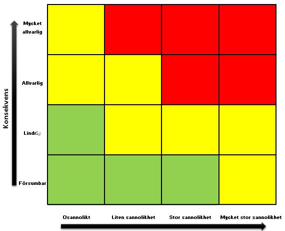 Bedömning av risk