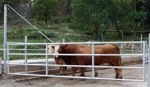 Nya starkare teleskopsgrindar DeLaval lanserar teleskopgrindarna TGP4, en ny serie lättare och starkare 4-rörs teleskopsgrindar särskilt anpassade för köttdjur.