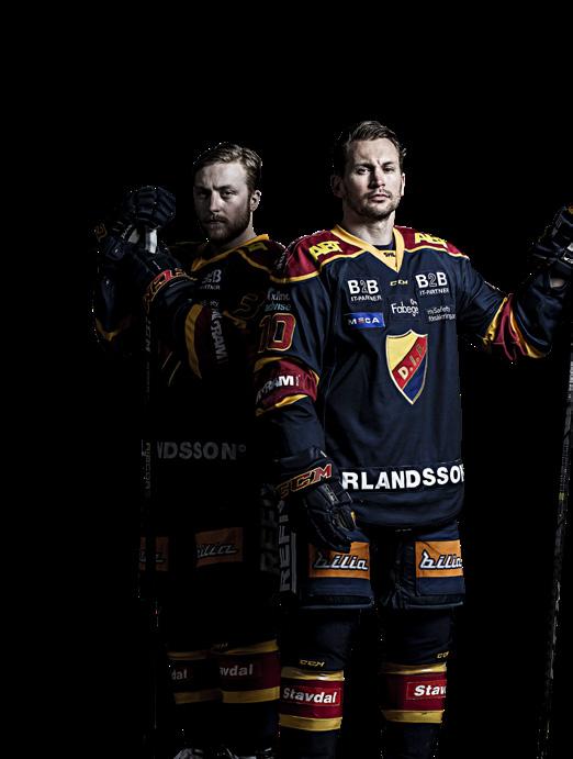 se www.difhockey.