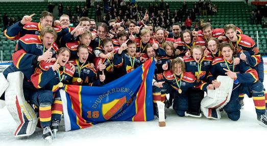 SPORTÅRET 2017/2018 Sedan herrlagets återkomst till SHL för fyra år sedan har vi kontinuerligt jobbat för att utveckla vår verksamhet, vår spelidé, vårt ledarskap och därigenom våra resultat.