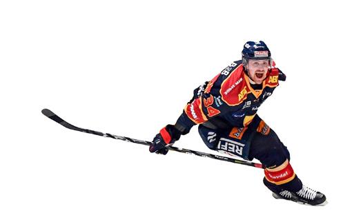 Nätverk/aktiveringar 1 plats partnerresa 1 plats Nätverket 1891 1 matchvärdskap SHL Inbjudan till sociala evenemang med övriga partners Urban Sports Spontanidrott 4 säsongskort (grundserie &