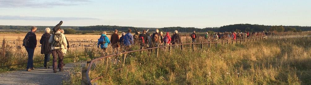 Genom Utflyktsprogrammet vill vi locka fler människor till upplevelser i naturen, men även stärka samarbetet kring naturvård och friluftsliv.