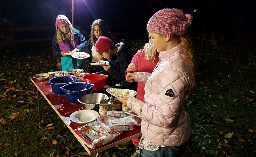Vi har på detta tema kikat lite på djuren runt scoutgården och i Kärna mosse där vi hittade diverse grodor, paddor och en och annan salamander.