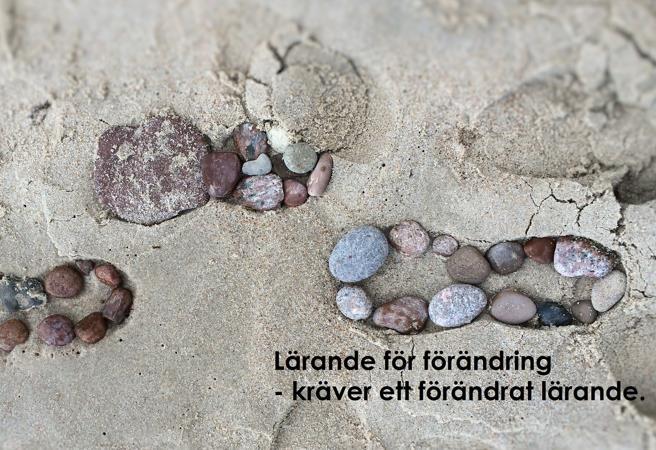 Bortom en normerande miljöundervisning Inte bara sopsortering och KRAV.