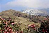 Lö 16/3 Kathmandu Morgonflygning för att se och uppleva Mt Everest från luften, beroende på sikt. Gemensamma aktiviteter i Katmandu.