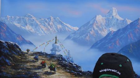 Resan till Nepal med följande program är ett preliminärt program. Beroende på väderlek mm. kan vi få göra rockad på vissa delar, lägga in något nytt och /eller ta bort något.