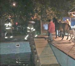 8 13 oktober 19 oktober 2018 VI I SOLLENTUNA NORRORT Häst brakade ner i familjens pool Monica i Bollstanäs fick vad man verkligen skulle kunna kalla oväntat besök i söndags kväll.