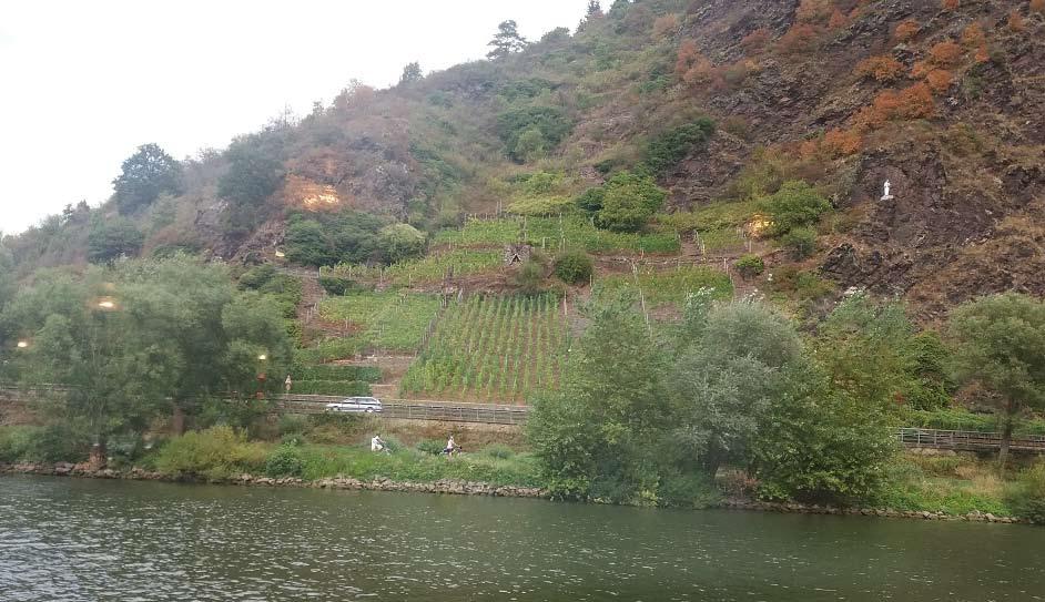 Tillbaka i Cochem, steg vi på en flodkryssare,