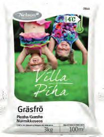 villaträdgårdens gräsmatta.