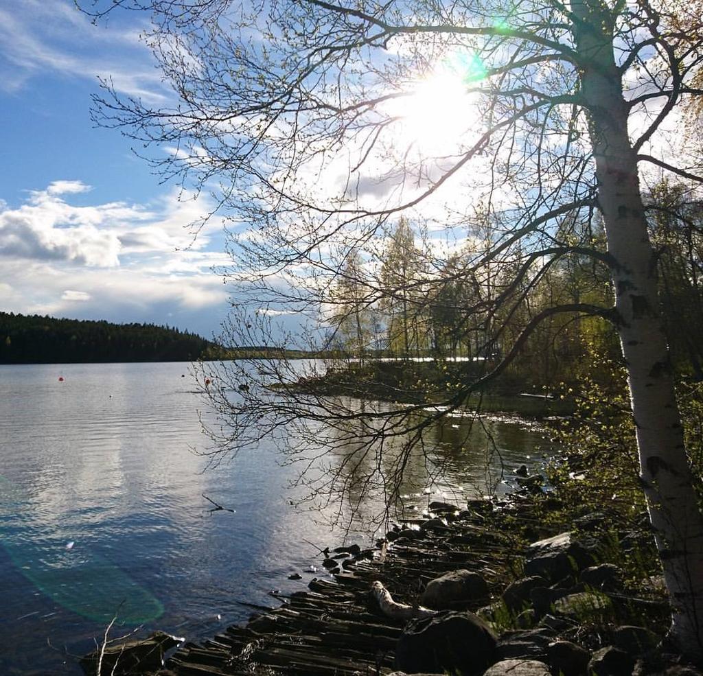 ÅR 2018 NR 2 Stöd Skelleftesjukans