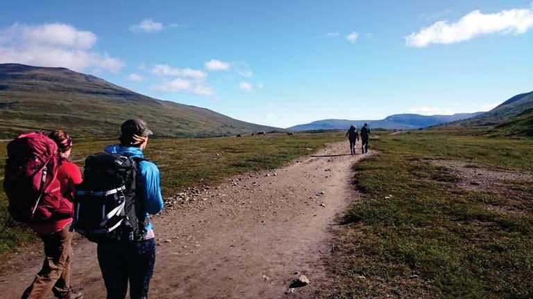 Vägar till mångfunktionella landskap: en pilotmodell i Jämtlandsfjällen Slutrapport från ett forskningsprojekt inom forskningssatsningen
