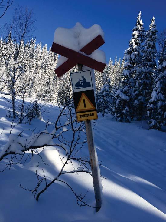möta nya rekreationsmönster, att det finns behov av bättre skyltning och information om leder, samt behov av strukturella förändringar för att undvika konflikter.