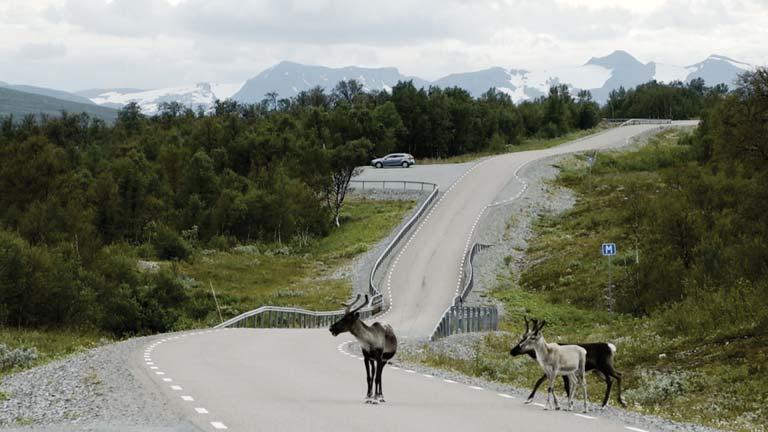 Figur 7. Vägen som ökat tillgängligheten. Foto: Per Berge. 5.