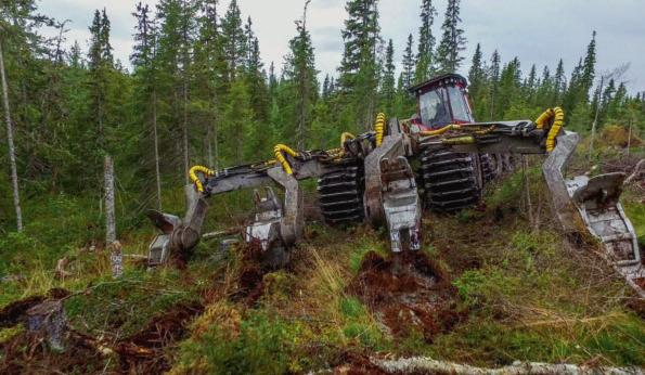 Klas-Håkan Ljungberg, Bracke: SKOGSÄGARNA måste ställa krav Den moderna markberedningstekniken är skonsammare, ger högre överlevnad, bättre tillväxt och är effektivare än den gamla.