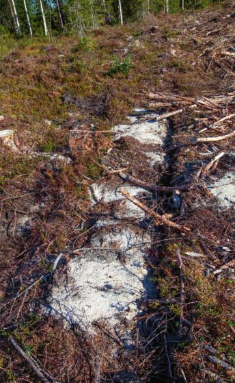 lskapa underlag för utveckling av dragen maskinell plantering (30 år gamla erfarenheter är fortfarande ett spöke för den utvecklingen).