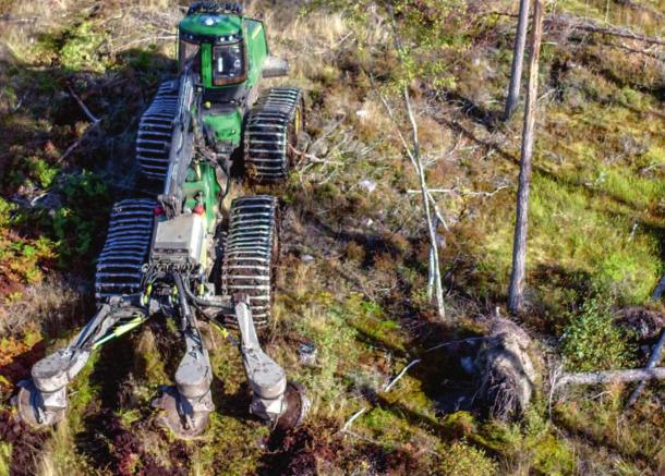 se Skogforsk har tittat närmare på hur gamla lågor i tallbestånden i försöksområdet kring Effaråsen väster om Mora klarat sig genom drivningen och därefter vid markberedningen.