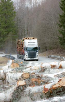 VISION nyheter nyhetsredaktör: Sverker JohAnSSon /BitZER REGERINGEN VILL HA 74 TON på 8 procent av vägnätet Foto: sverker Johansson/BitZER Den första juli kan en del av vägnätet öppnas för lastbilar