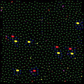 hypercolumns Each hypercolumn 100 minicolumns 100 basket