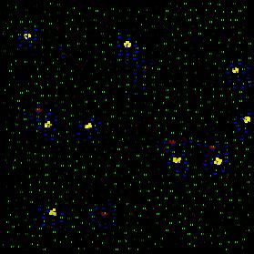 stored 29700 neurons 15 million synapses 100 patterns