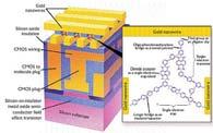 II CMOL Hybrid CMOS och molekylära kretsar nanoprinting stokastiska beräkningar Problem Temperaturvariationer inverkar på beräkningen Zero