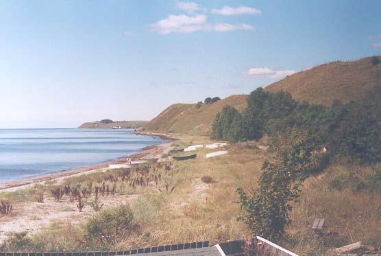 Ent. Tidskr. 127 (2006) Två nya solitärbin för Sverige Figur 2.