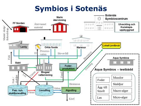 Bild: 5 Stephen Andreasson, West Coast Smolts Sweden Aktörer på Aqua Symbios: Bröderna Samuelsson Fiskexport, Smögenlax Aquaculture, Swedish Algae Factory, West Coast Smolt Sweden, CATXALOT,