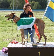 Prispallen i Magentas Lopp, fr. v. Avalance, segraren Yagga Wagga och trean Epona. Chillagoe, Rolf Johansson, GHS, vann den sista i klass 1 på fina 18.61 före Yangaburra, 18.88 och Tyke Mörbult, 19.