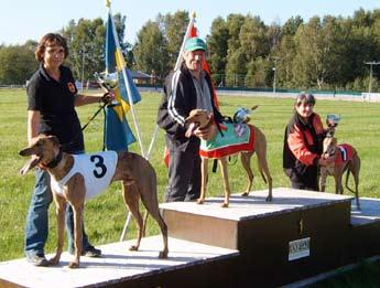 Svenskt Sprinterderby. Fr. v. tvåan Top Shot, Anki Svanhagen, SHS, segraren Quantico Clover, Roland Rask, VHS, och trean Lill Strumpa, Kerstin Halldoff, SHS. Frisby Star, 33.66.