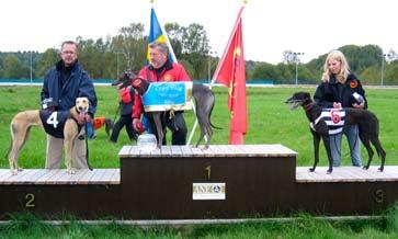 Men sedan kom starka Titan Buff förbi och vann på fina 32.41. 2:a kom halvsystern Tinctoria, 32.64 och 3:a blev Sweet Arrow, 33.02. Dekaltrycket Semfinaler Det började med två försök i M4.
