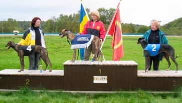 2. HD Fat Boy, MiHK, 18.47 3. Top Shot, SHS, 18.80. Cindy Rose Tiktrofé Loppet sponsras sedan 10 år tillbaka av Kriströms Advokatbyrå och Almandins Kennel.