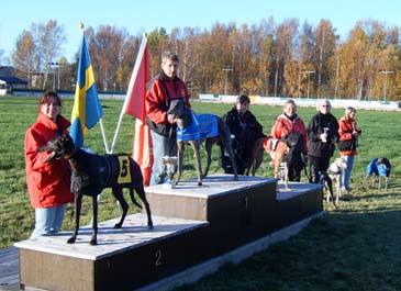 Stallkamraten Umambo kom 2:a, slagen med 75 hundradelar. 3:a Umberto, SHS, 37.83. Övriga bra resultat På Sprint var Top Shot, Anki Svanhagen, SHS, bäst med seger på 18.61.