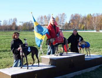Puppy Derby final och Masters Lördagen den 21 oktober, återigen 16 lopp, med fina race på gång. Final i Puppy Derby och Masters, där vi fått ihop ett kanonfält, nästa alla de vinstrikaste ställde upp.