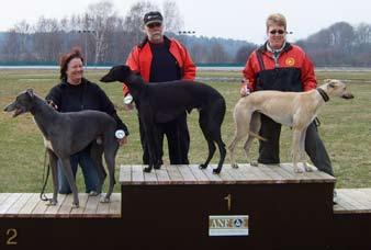 2 5. Holeinone (Segundo Queen Yellow) 76 6. Prince Of Lock (Prince Of Tinrah Slip The Lock) 70 7. Tinctoria (Fire Whiz Indigo) 66 8. Poppie (Fire Whiz Indigo) 63 9.