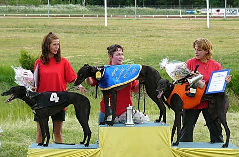 Svenskt Avelslopp i Borås Fjolårets svenske mästare och Derbyvinnare Black Warrior, MiHk tog hem segern i årets Avelslopp på 32.85.