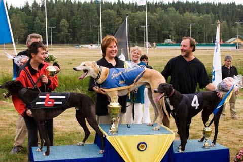 Han ägs av Karlsson/Östberg, Speedfire s, som också är uppfödare till Mr Big Nikesonen. 2:a kom Svanhagens Top Shot, som blir veteran i år, på fina 18.77. De två var i en klass för sig.
