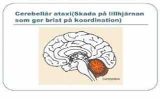 9 Vissa träffar och aktiviteter anordnas och genomförs i samarbete med andra aktörer såsom t.ex. andra lokalföreningar, länsförbundet eller riksförbundet.