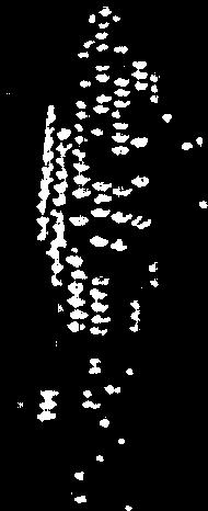 ,, 2 235 265 2 130 140 433 10 91 111 105 26 193 339 252 1 56 34 42 221 161 275 18 99 157