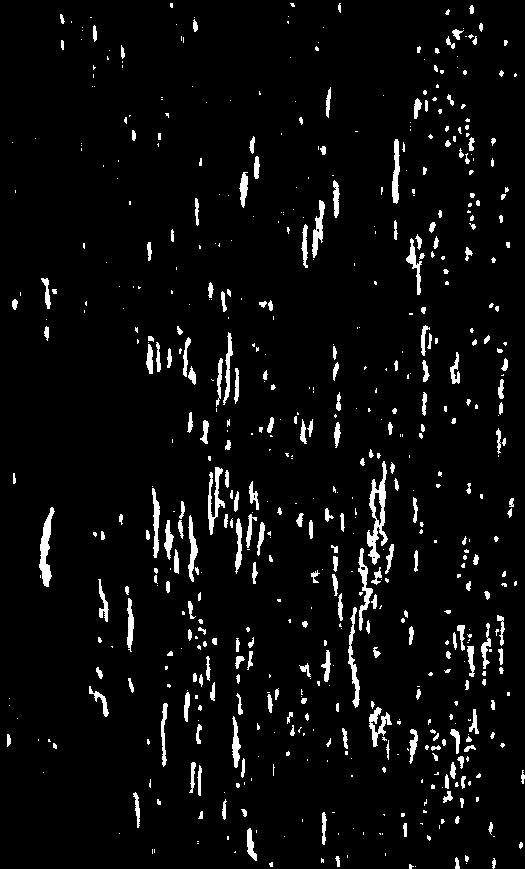 vattenbastighet. Sorgástrackan âtskiljs Skytesvallen hundra meter (Fig. 9).