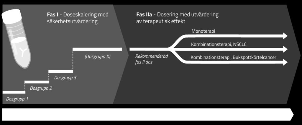 Cantargias initiala kliniska fas I/IIa-studie inkluderar både monoterapi och kombinationsterapi där CAN04 kombineras med existerande standardbehandling för icke-småcellig lungcancer respektive