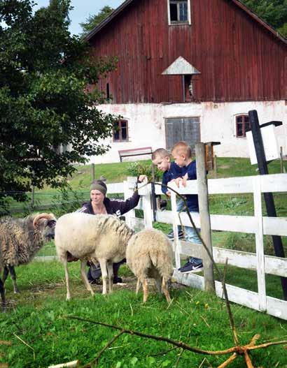 Valnämnden Valnämndens uppdrag Valnämnden är en obligatorisk nämnd för kommunen och svarar för all organisation och genomförande på lokal nivå av val till riksdagen, landstingsfullmäktige,