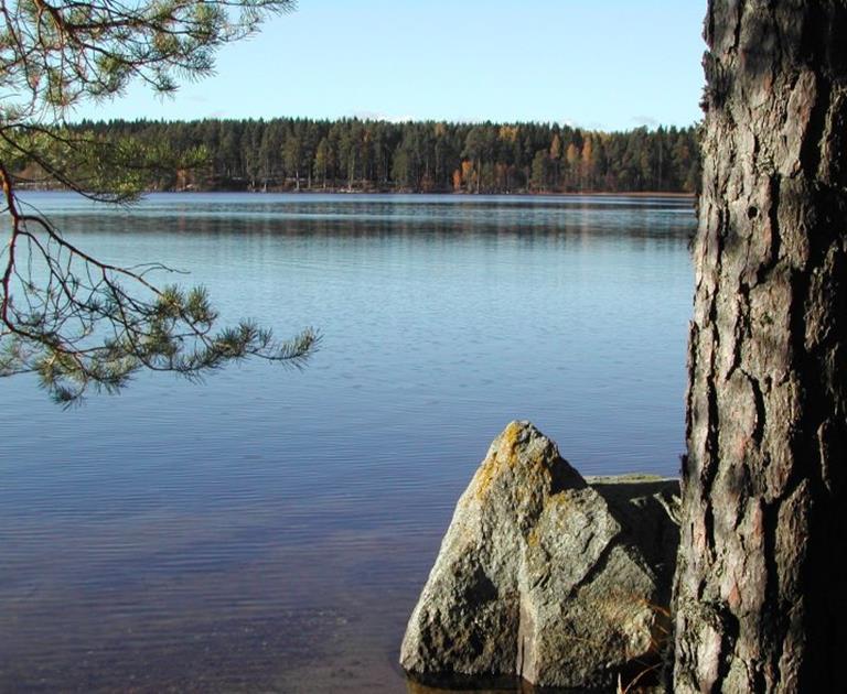 Kommunstyrelsen tilldelas extra medel på 5,1 mnkr för underhållssatsningar för gator, vägar, broar och lekplatser mm.