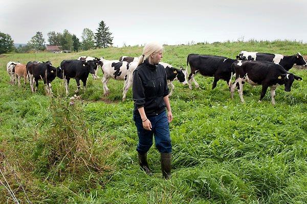 Bete För varje djurkort du lägger till under Djurhållning bildas ett beteskort om stallperioden är kortare än 12 månader.