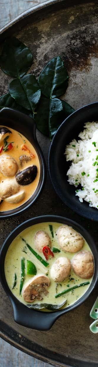 Asiatisk röd och grön curry med kyckling, fisk, nötkött eller skaldjur Röd och grön thaicurry är nog några av de mest kända thairätterna i väst.