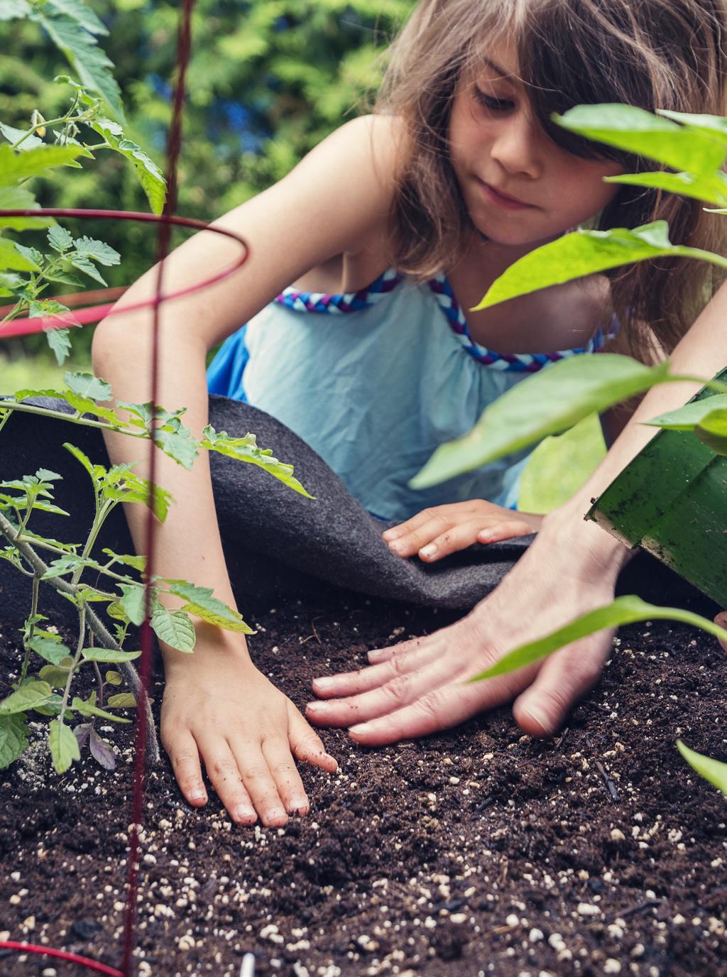 Anmäl er till White guide juniors tävling och bli Årets klimatkök!