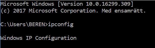 ipconfig Identifiera rätt nät och