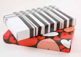 80200030 110 x 190 x 20 mm Kapsel Silver 80200031 120 x 300 x 30