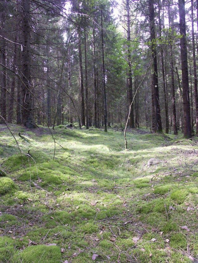 UV VÄST RAORT 2007:18 ARKEOLOGISK UTREDNING Kolningsgropar i skogen Västra Götalands län,