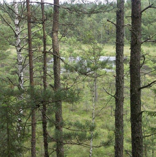 Riksantikvarieämbetet UV Väst har genomfört en särskild utredning inom fastigheterna Björröd 1:179 med flera i Härryda kommun.