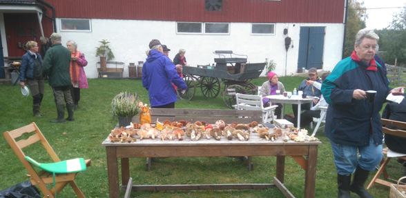 tegelsopp sandsopp karljohan tegelkremla vargmjölk Extra roligt att Barbro Marklund var med oss.